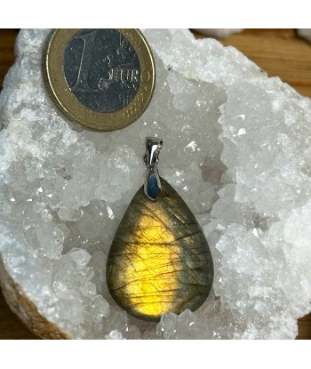 Pendentif Labradorite en Argent 925 rhodié 2024