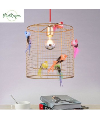 LAMPE OISEAUX - CAGE FANTAISIE paiement sécurisé