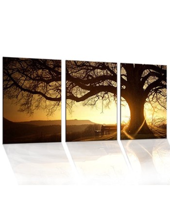 Triptyque L'Arbre au Soleil Couchant livraison gratuite